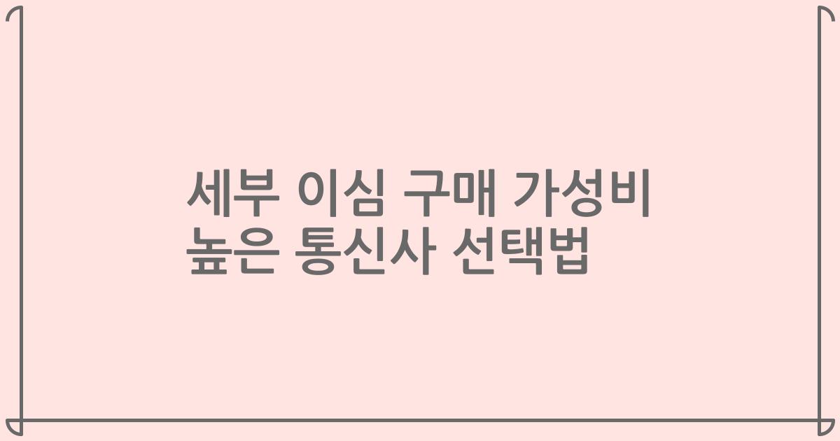 세부 이심 구매 가성비 높은 통신사 선택법